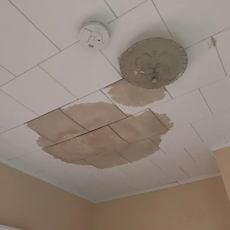 Ceiling Water Damage Repair in Broadlands, VA