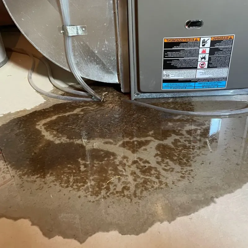 Pipe Burst and Leak Restoration in Broadlands, VA